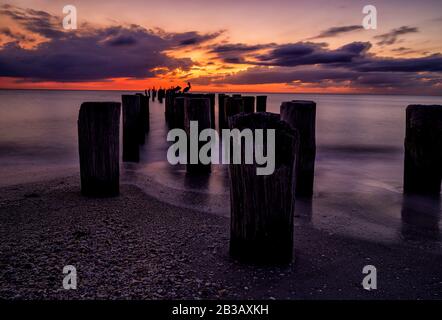 Molo di Napoli vecchia pilings nel golfo del Messico al tramonto Foto Stock