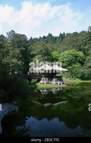 Vista di mezzogiorno dei laghi di Jiemei ad Alishan, Taiwan Foto Stock