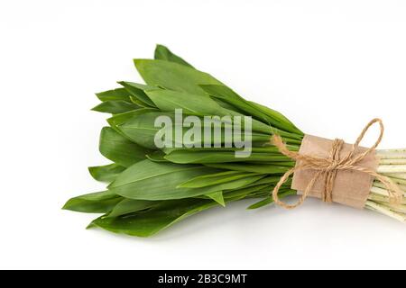 Ramson aglio selvatico su sfondo bianco Foto Stock