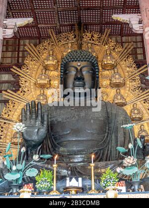 Grande Buddha del Tempio Todai-ji, un sito UNESCO e fino a poco tempo fa uno dei più grandi edifici in legno del mondo. Foto Stock