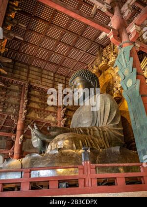 Grande Buddha del Tempio Todai-ji, un sito UNESCO e fino a poco tempo fa uno dei più grandi edifici in legno del mondo. Foto Stock