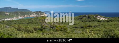 Ampio paesaggio panoramico della vegetazione costiera australiana e dello stretto di Bass, in una luminosa giornata estiva Foto Stock