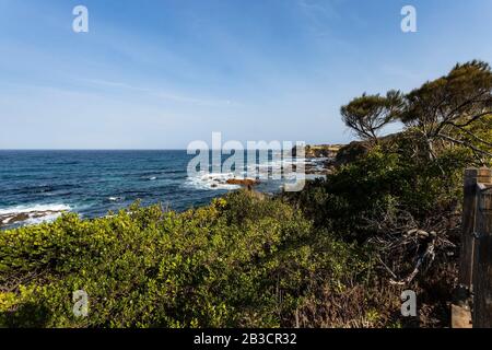 Vista sulla splendida costa vicino al Wagonga Head, Narooma, nuovo Galles del Sud, Australia Foto Stock