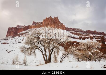 Il castello dopo una tempesta di neve, Capitol Reef National Park, Utah Foto Stock