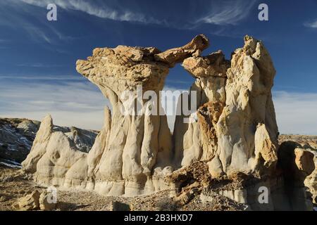 De-na-zin zona selvaggia-legno pietrificato Hoodoo , Bisti badlands, New Mexico Foto Stock