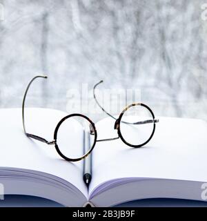 Occhiali rotondi e una matita nera si trovano su un blocco note con pagine bianche sullo sfondo del paesaggio all'esterno della finestra. Parete Di Fondo Foto Stock