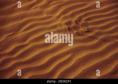 Bella sabbia arancione al tramonto come sfondo. Foto Stock
