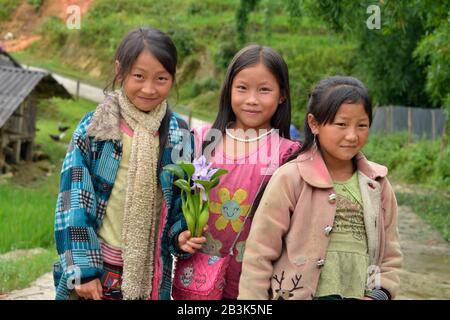 Maedchen, Rote Hmong, Tha Pin, Vietnam Foto Stock
