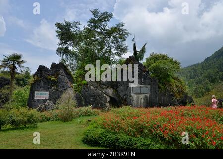 Parco, Ham-Rong-Berg, Sa Pa, Vietnam Foto Stock