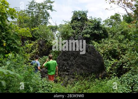 Parco, Ham-Rong-Berg, Sa Pa, Vietnam Foto Stock