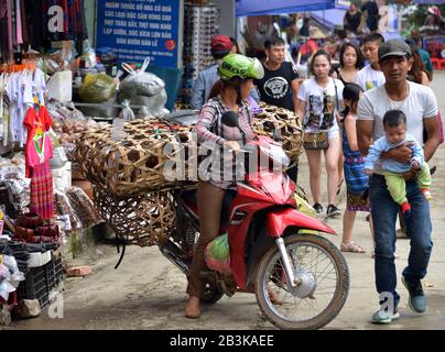 Huehner, Motorrad, trasporti, Sa Pa, Vietnam Foto Stock