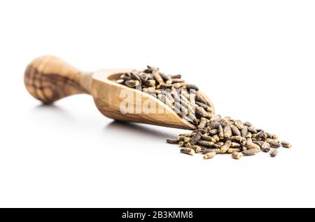 Latte thistle semi in scoop isolato su sfondo bianco. Foto Stock