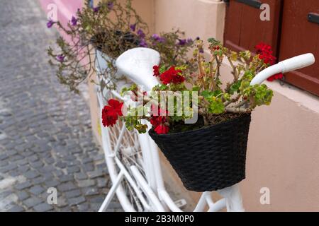 Fiori nel cesto su una bicicletta retrò bianca parcheggiata a Sibiu, Romania Foto Stock