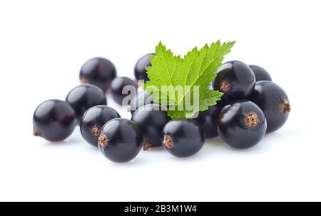 Bacche di ribes nero con foglie Foto Stock