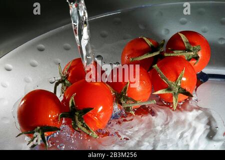 Lavare i pomodori Foto Stock