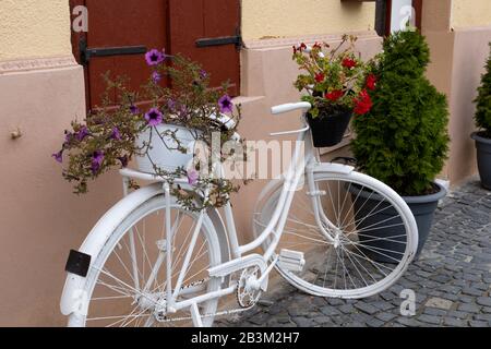 Fiori nel cesto su una bicicletta retrò bianca parcheggiata a Sibiu, Romania Foto Stock