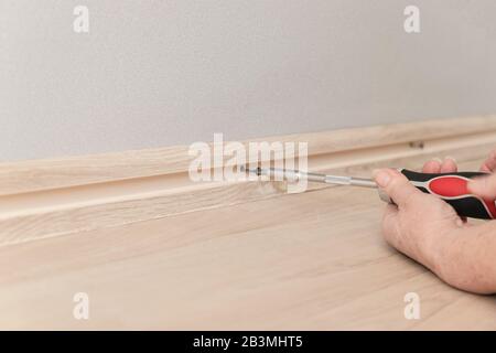 La mano femmina serra la vite con un cacciavite nella parete. Riparazione in casa Foto Stock