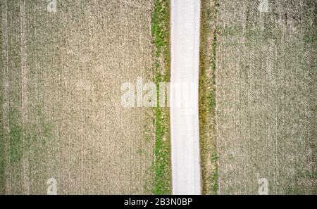 Fotografia aerea di un percorso tra campi, effetto astratto da linee rette quando preso verticalmente verso il basso Foto Stock