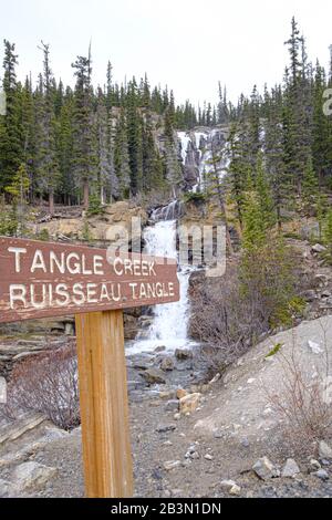 Cascate Di Tangle Creek Nel Jasper National Park, Alberta, Canada. Foto Stock
