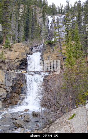Cascate Di Tangle Creek Nel Jasper National Park, Alberta, Canada. Foto Stock