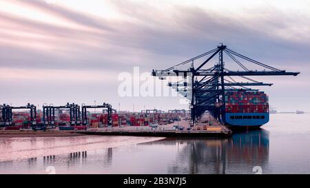 Fotografia aerea guardando attraverso la linea di carico gantrys nella nebbia di mattina presto al porto di contenitore di Felixstowe. File di contenitori impilati Foto Stock