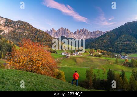 Vista posteriore dell'uomo ammirando le vette delle Odle e il piccolo villaggio di Santa Magdalena in autunno, Funes, Dolomiti, Alto Adige, Italia, Europa Foto Stock