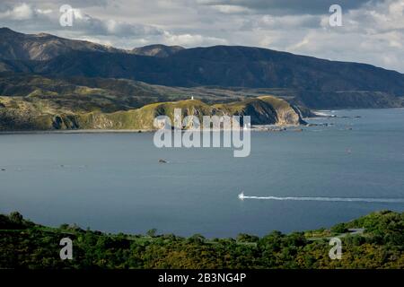 Wellington, Isola del nord, Nuova Zelanda, Pacific Foto Stock