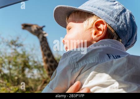 Bambino ragazzo godendo safari con giraffe nel Kruger National Park, Sud Africa Foto Stock