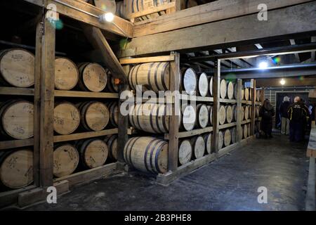 Botti di whisky nella barrelhouse della distilleria Jack Daniel.Lynchburg.Tennessee.USA Foto Stock