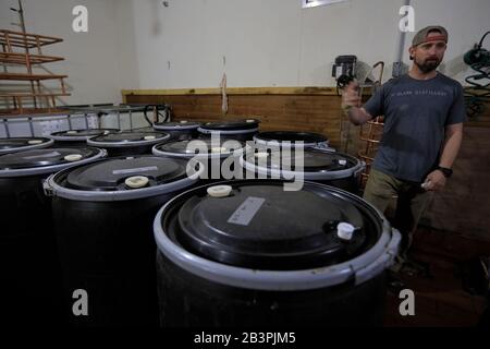 Un operaio che introduce la procedura di distillazione del whisky di bourbon del Tennessee prodotto nella distilleria di H Clark durante il tour della distilleria.W.Thompson's Station.Tennessee.USA Foto Stock