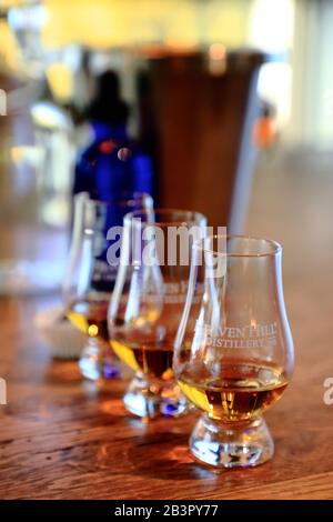 I bicchieri da degustazione contengono diverse vintage di whisky di Bourbon, allineate al banco bar nella sala di degustazione del Bourbon Heritage Center of Heaven Hill Distillery.Bardstown.Kentucky.USA Foto Stock