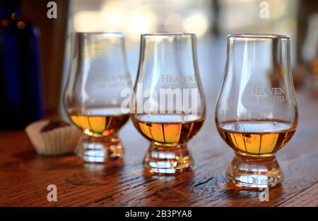 I bicchieri da degustazione contengono diverse vintage di whisky di Bourbon, allineate al banco bar nella sala di degustazione del Bourbon Heritage Center of Heaven Hill Distillery.Bardstown.Kentucky.USA Foto Stock