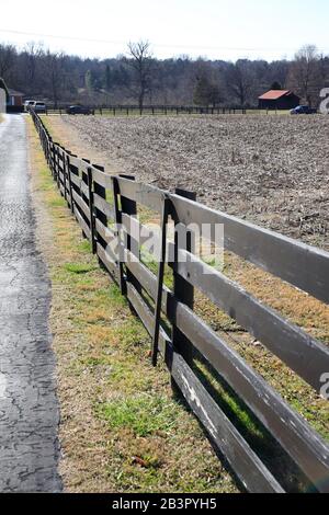 Campo di mais raccolto per fornire la materia prima per fare Bourbon Whiskey vicino Bardstown.Kentucky.USA Foto Stock