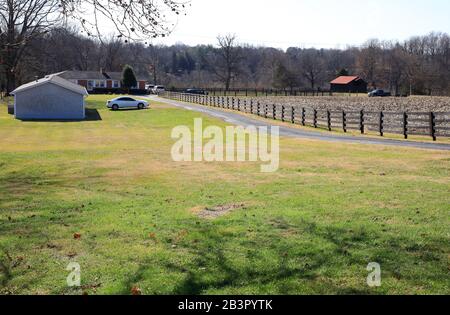 Campo di mais raccolto per fornire la materia prima per fare Bourbon Whiskey vicino Bardstown.Kentucky.USA Foto Stock