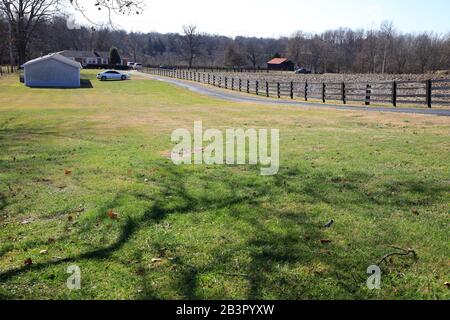 Campo di mais raccolto per fornire la materia prima per fare Bourbon Whiskey vicino Bardstown.Kentucky.USA Foto Stock