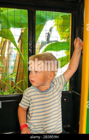 Un bambino di tre anni fa si muove in un trenino verde-giallo per bambini in un parco divertimenti in Riviera, Sochi, di fronte allo spettatore. Riposo, tropici, riposo, attivazione. Foto verticale Foto Stock