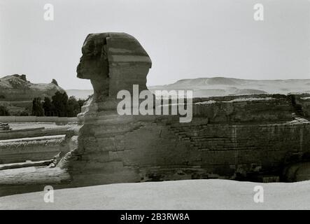 Fotografia di viaggio in bianco e nero - l'antica Sfinge alle Piramidi di Giza vicino al Cairo in Egitto in Nord Africa Medio Oriente. Storia antichità Foto Stock