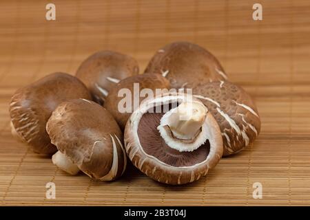 Funghi marroni appena raccolti, champignons Foto Stock