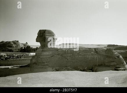 Fotografia di viaggio in bianco e nero - l'antica Sfinge alle Piramidi di Giza vicino al Cairo in Egitto in Nord Africa Medio Oriente. Storia antichità Foto Stock