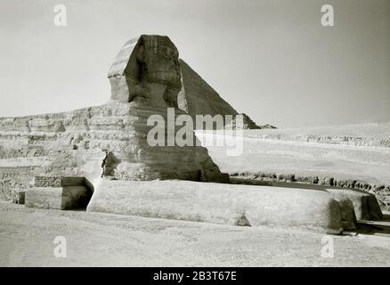 Fotografia di viaggio in bianco e nero - l'antica Sfinge alle Piramidi di Giza vicino al Cairo in Egitto in Nord Africa Medio Oriente. Storia antichità Foto Stock