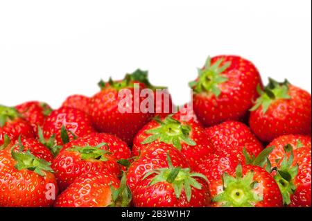 Fragole raccolte in giardino (Fragaria × ananassa) in estate su sfondo bianco Foto Stock