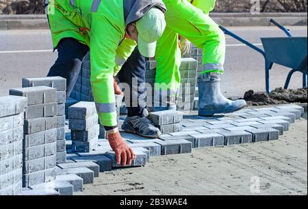 Il maestro nei guanti pone le pietre di pavimentazione in strati. Pavimentazione in mattoni da giardino con pavimentazione professionale. Posa su sabbia di lastre di cemento grigio Foto Stock