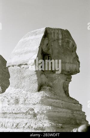 Fotografia di viaggio in bianco e nero - l'antica Sfinge alle Piramidi di Giza vicino al Cairo in Egitto in Nord Africa Medio Oriente. Storia antichità Foto Stock