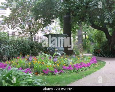 Colorato impianto in primavera nei giardini del Musee Villa Massena, una galleria d'arte nel centro di Nizza, appena fuori dalla Promenade des Anglais. Foto Stock