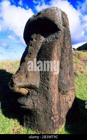 Suedamerika, Cile, Pazifik, Moais Auf Der Osterinsel, Ranu Raraku Foto Stock