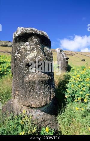 Suedamerika, Cile, Pazifik, Moais Auf Der Osterinsel, Ranu Raraku Foto Stock