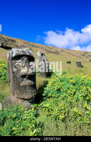 Suedamerika, Cile, Pazifik, Moais Auf Der Osterinsel, Ranu Raraku Foto Stock