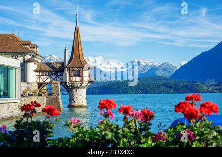 Castello di Oberhofen sul Lago di Thun nelle Alpi Bernesi, Canton Berna, Svizzera, in primavera Foto Stock