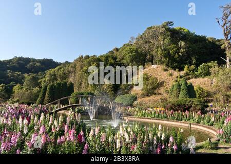 Bellissimo Parco Di Phra Mahathat Naphamethinidon A Doi Inthanon, Chiang Mai, Thailandia Foto Stock