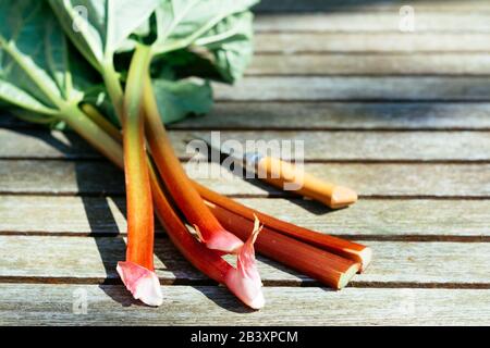 Stocchi di rabarbaro appena raccolti su un tavolo da giardino. Foto Stock